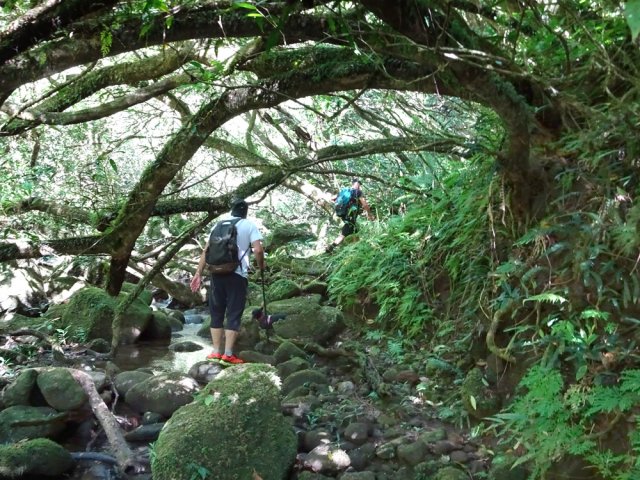 Passage obligé au plus près du torrent