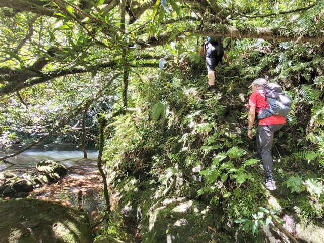 Les dix premiers mètres de la remontée donnent le ton