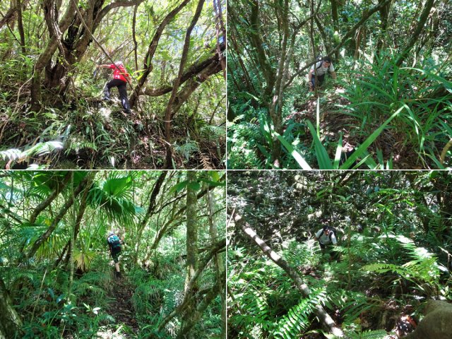 Le reste de la montée est tout aussi pentu