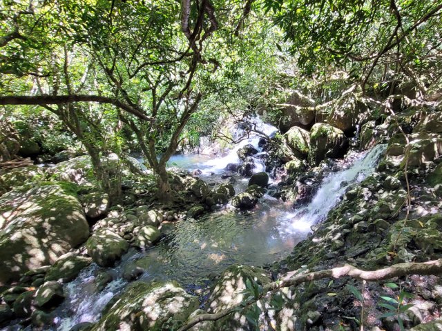 Un superbe bassin pour qui voudra poursuivre le long de la Ravine Terre Rouge