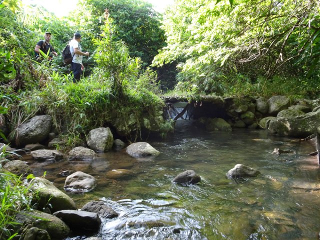 Traversée de la ravine sur un pont bétonné mais vétuste