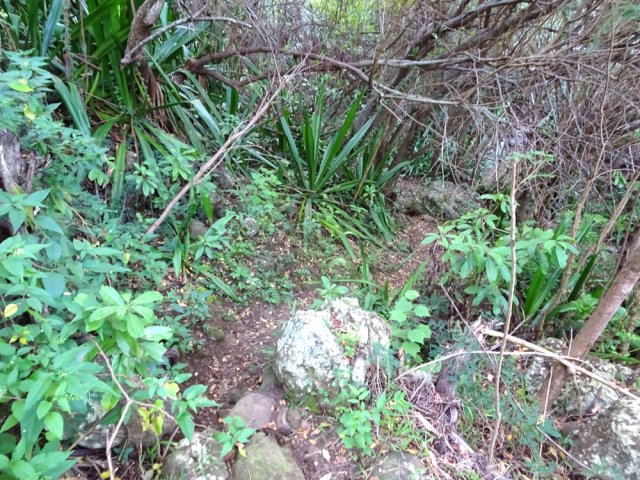 Ne pas s'inquiéter si le parcours oblique sur la droite