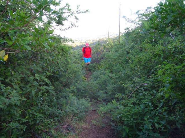 Sentier moins net en direction de la Ravine de la Souris Chaude