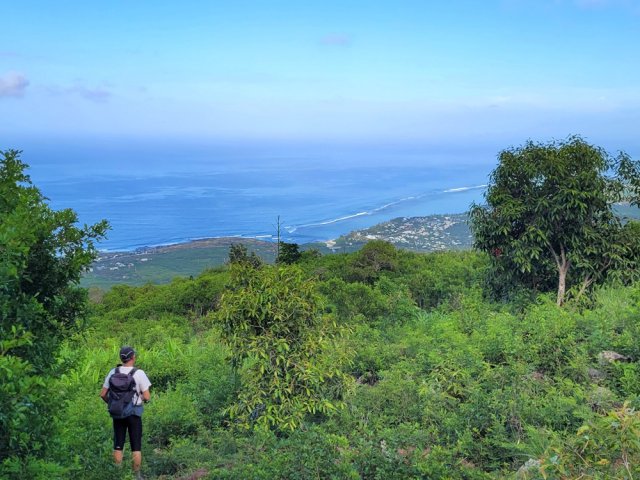 Quelques modestes cultures subsistent à l'arrivée à Bois de Nèfles
