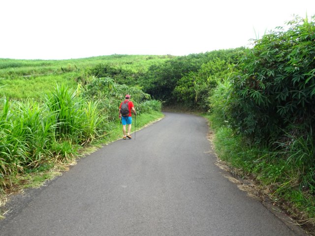 La Rue Gabriel Mareuil traverse les cannes vers la RD14