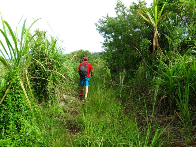 Entamer la longue descente par les pistes et chemins dans les cannes à sucre