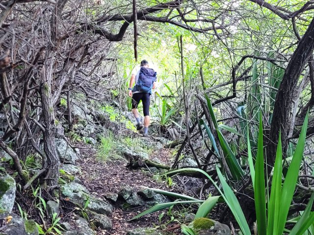Les roches sont de plus en plus nombreuses sur le sentier