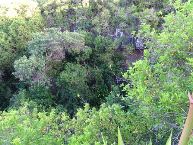 Après avoir passé le gué, on longe la Ravine de la Souris Chaude