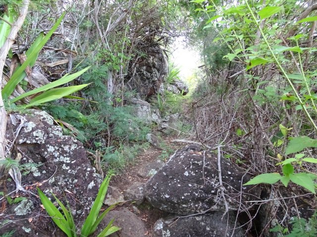 Le sentier reste toujours très praticable