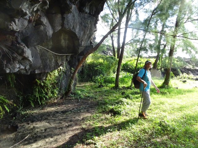 Superbes coins de bivouac au pied des falaises basaltiques
