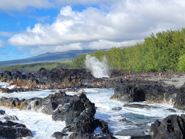 Filer plein sud pour retrouver les filaos de la côte