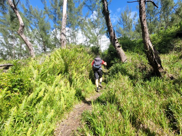 Forte montée en direction de la piste de la Vierge au Parasol