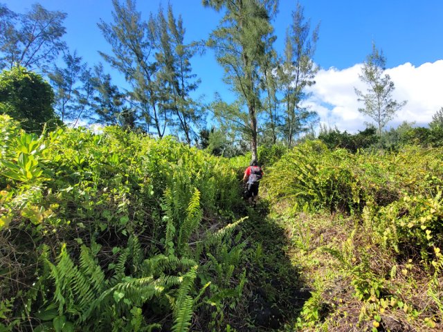Ce sentier a été très bien réhabilité