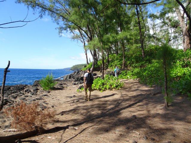 Le Sentier des Laves passe parfois au plus près des falaises