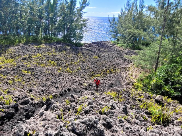Encore peu de végétation sur la coulée de 2002