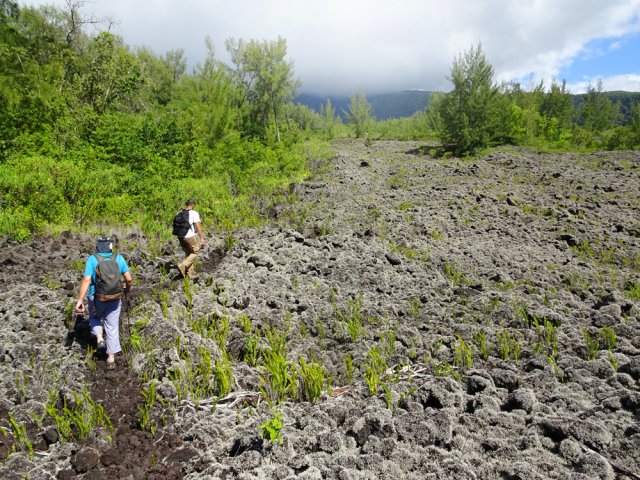 On parvient sans grande difficulté à la RN2 qu'on repère au bruit des moteurs