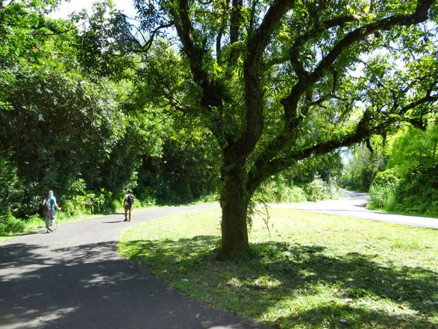 Plusieurs autres possibilités d'éviter la route nationale