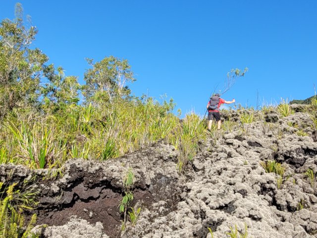 Les derniers mètres du sentier sont bien marqués, plus haut, c'est du hors sentier