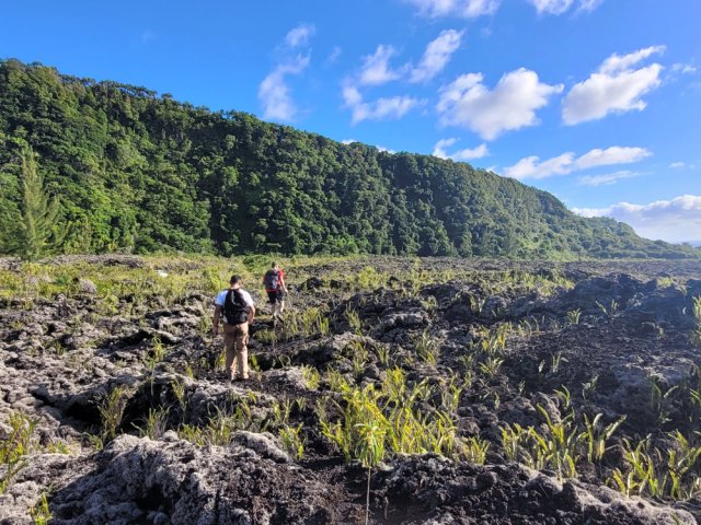 Les premiers mètres de la descente vers la mer à partir de l'arrêt de bus