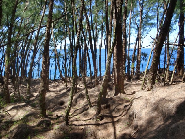 On se trouve au plus près de la côte en arrivant au Brisant