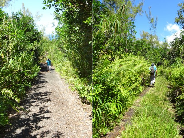 Plus loin, la piste est plus large sur béton ou dans les herbes