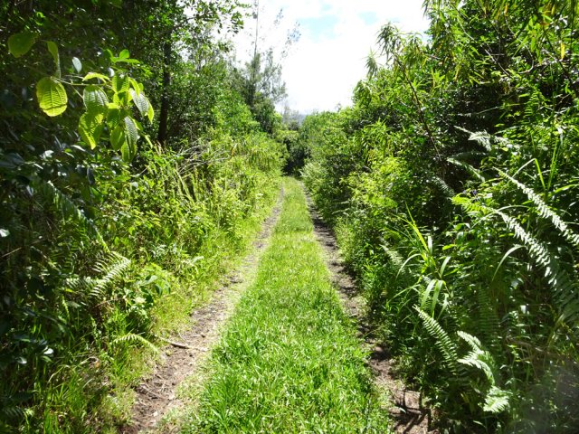Les derniers 100 m de la piste avant de parvenir à la RN2