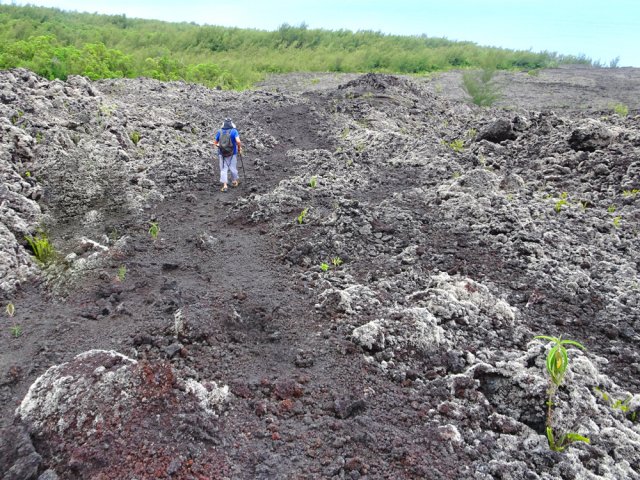 Pas de sentier officiel mais de multiples traces de passages