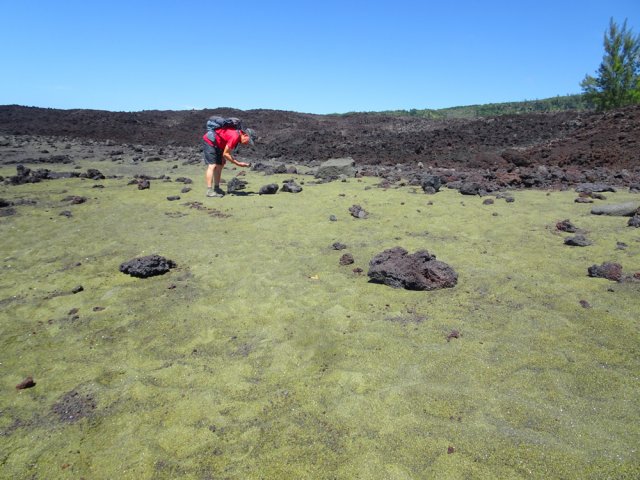 Depuis 2007, une nouvelle plage recouverte d'olivine