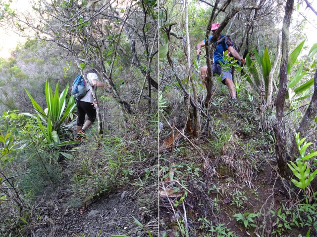 Début de la descente avec quelques raidillons glissants