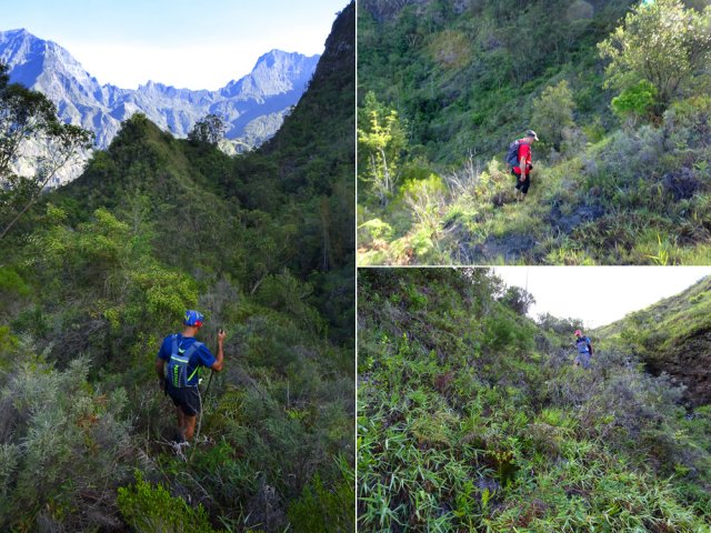 Le sentier est moins visible. Se fier aux rubalises