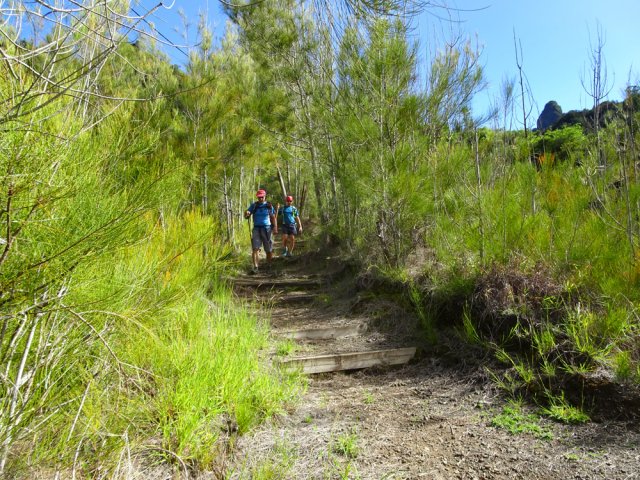 Début de la descente en direction du Petit Bras de Cilaos