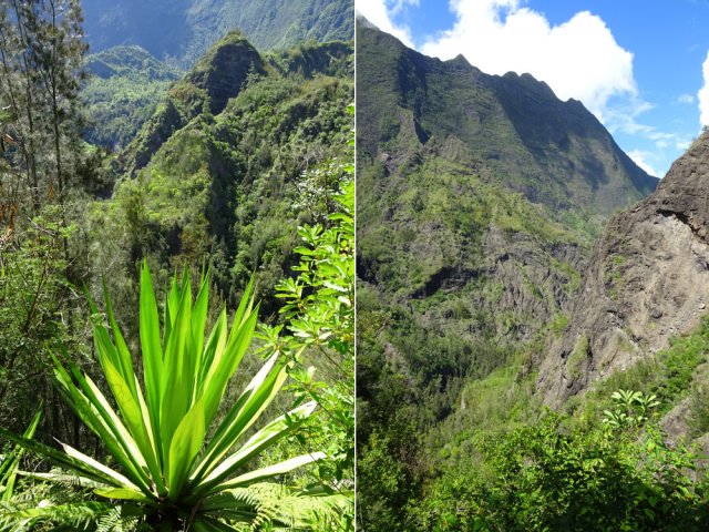 On s'élève très vite en s'éloignant du Petit Bras de Cilaos