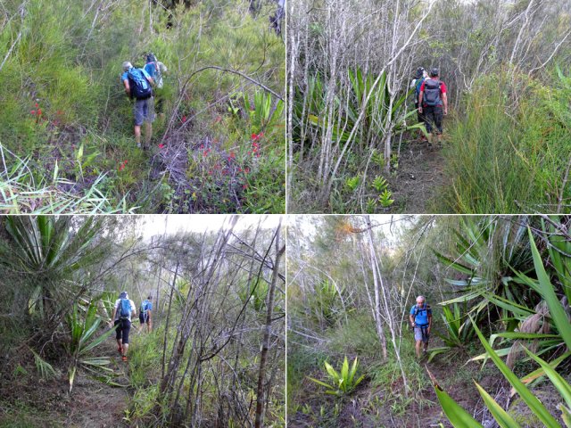 Sentier en bon état malgré les décennies d'abandon