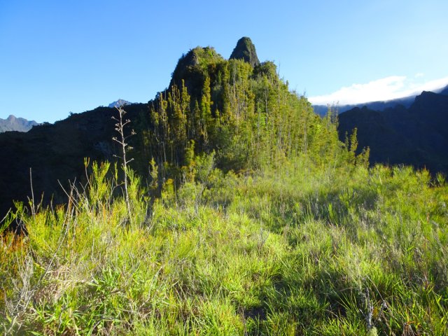 Une fois sur la crête, on distingue mieux le Piton Papangues