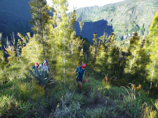 Un embranchement de sentiers. Prendre à gauche pour la descente