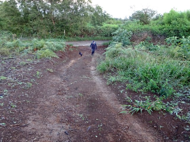 Préférer dès le départ la piste au sentier encombré