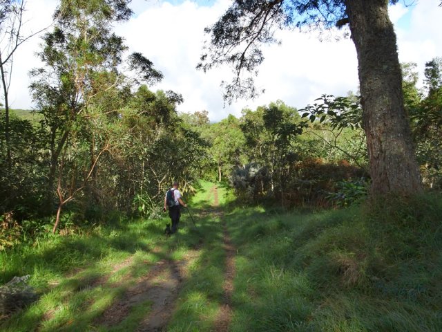 Un raccourci herbeux entre les lacets de la RF