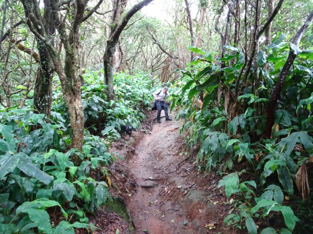La terre rouge est rendue glissante par le passage des VTT