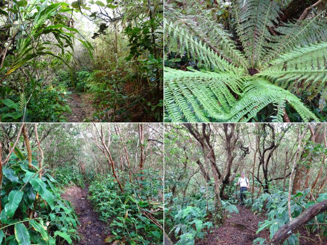 On ne compte plus les raccourcis à moins de préférer la piste