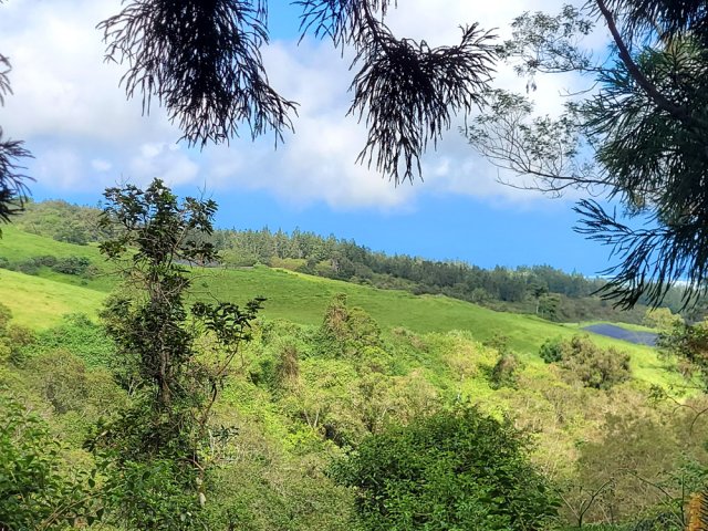 Rares panoramas sur la région dédiée à l'élevage