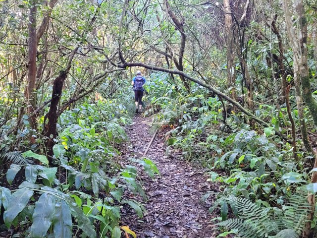 On longe quelques portions de canalisation métallique