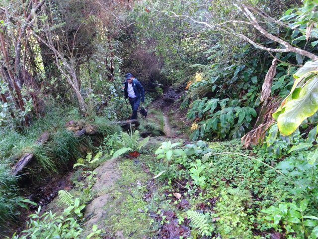 Rares fortes pentes, souvent glissantes