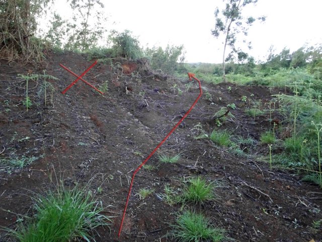 Partir à droite à la fin de la piste pour retrouver le sentier