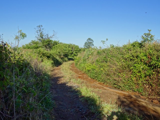 Les pistes, propres, car régulièrement empruntées