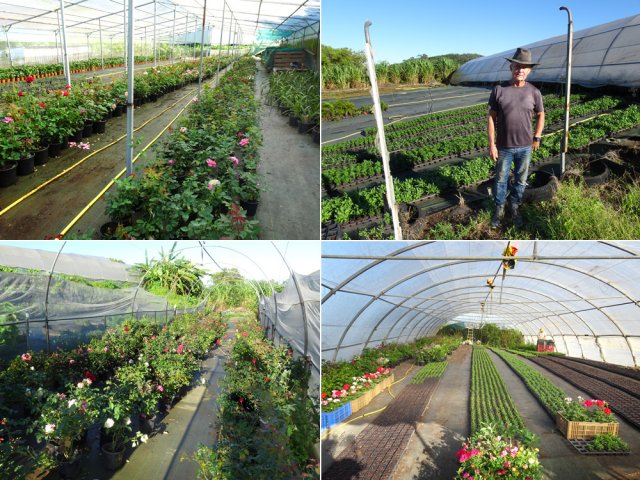 Les serres de Monsieur Dijoux qui est très accueillant