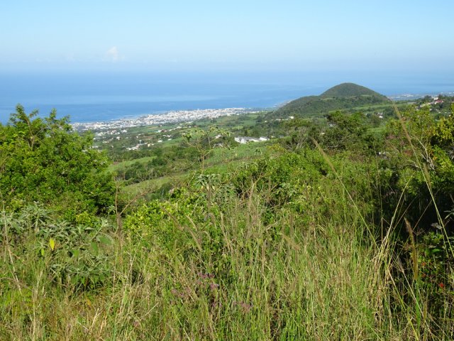 Panorama sur Saint-Pierre et le Piton de Monvert