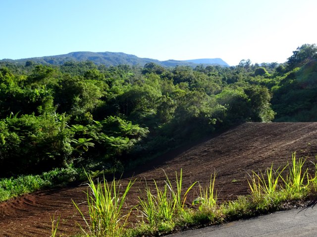 Point de vue sur le Morne Langevin et le Piton du Rond depuis la route