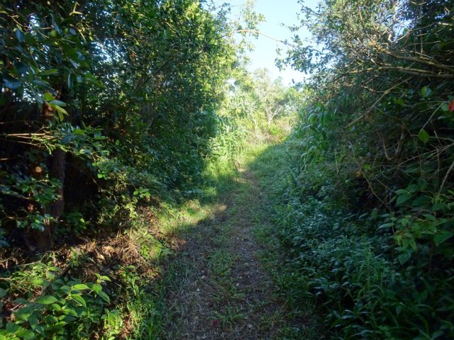 Espérons que les sentiers de la boucle seront régulièrement nettoyés