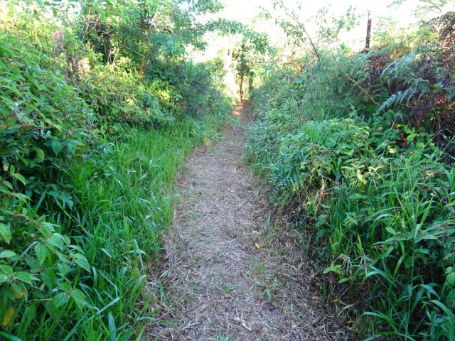 Un autre sentier pouvant s'envahir très vite de hautes herbes