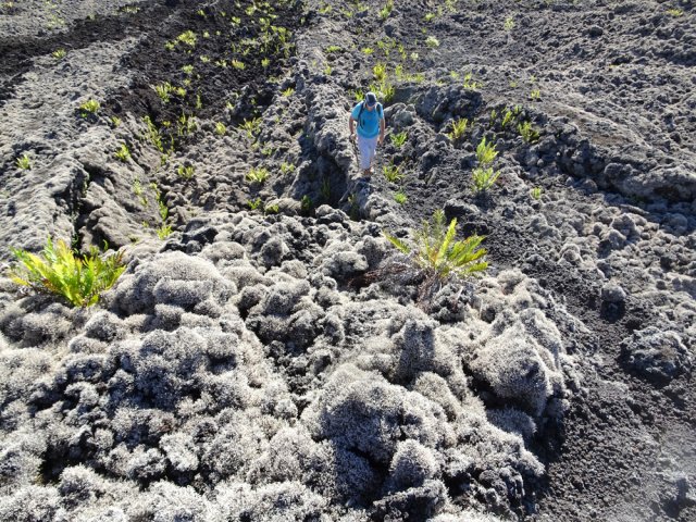 Plus on monte et plus le sol est fissuré